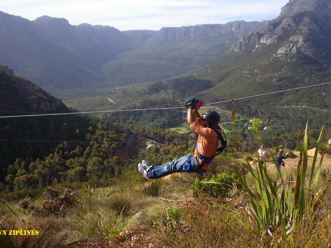 SA Forest Adventures-康士坦提亚必去景点