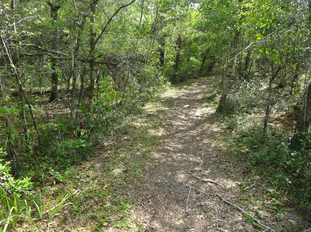 Buxton Woods Nature Trail景点图片