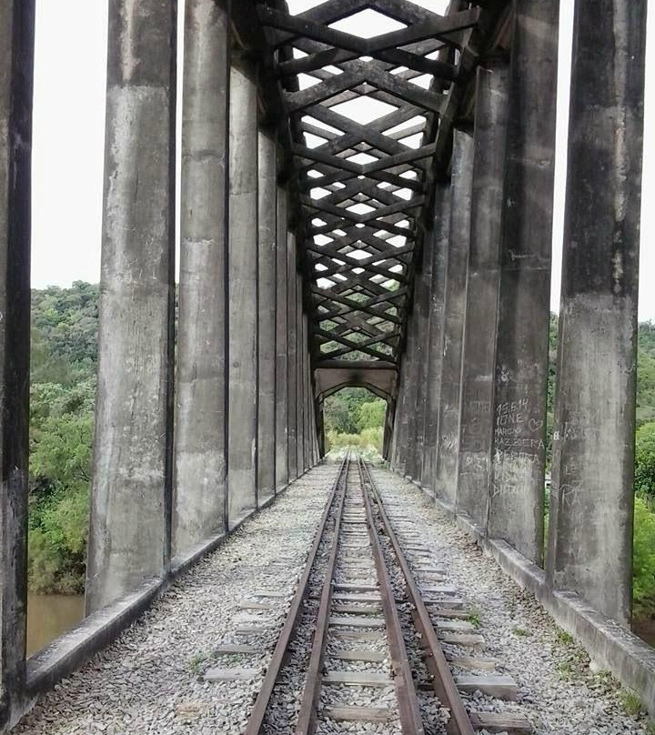 Ponte da Vila Clara景点图片