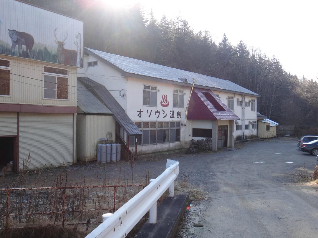 Osoushi Onsen Shikanoyuso主图