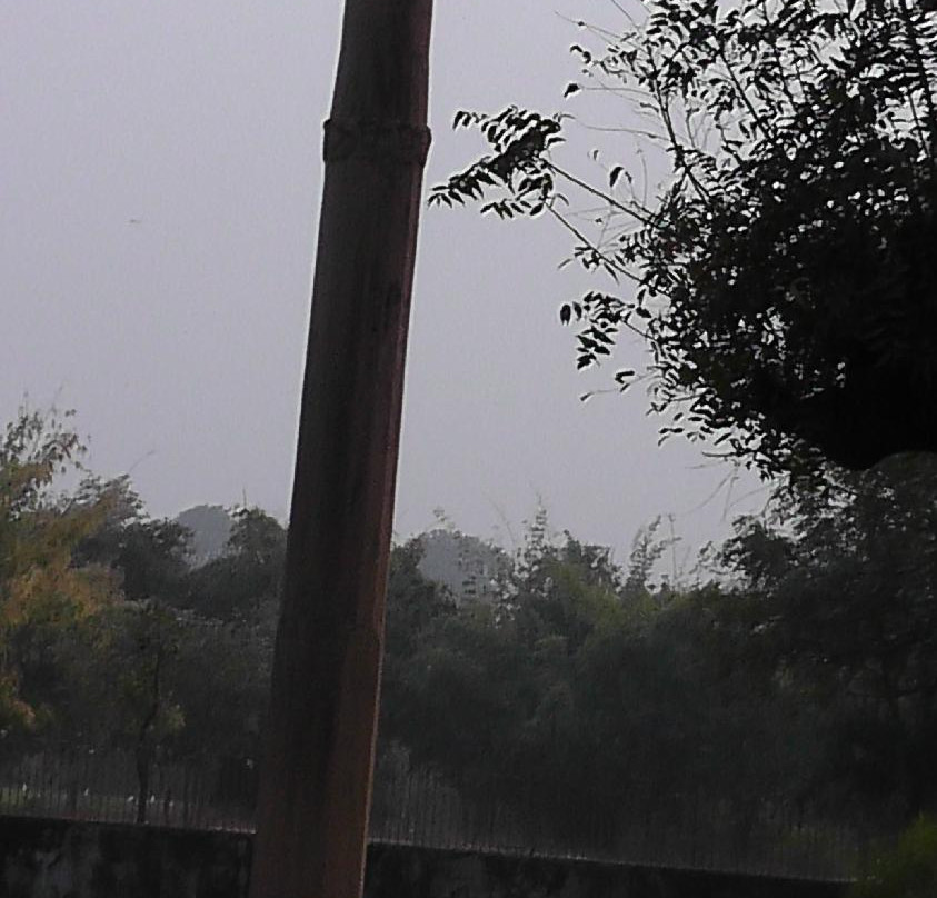 Khamba Baba/Heliodorus Pillar-Vidisha必去景点