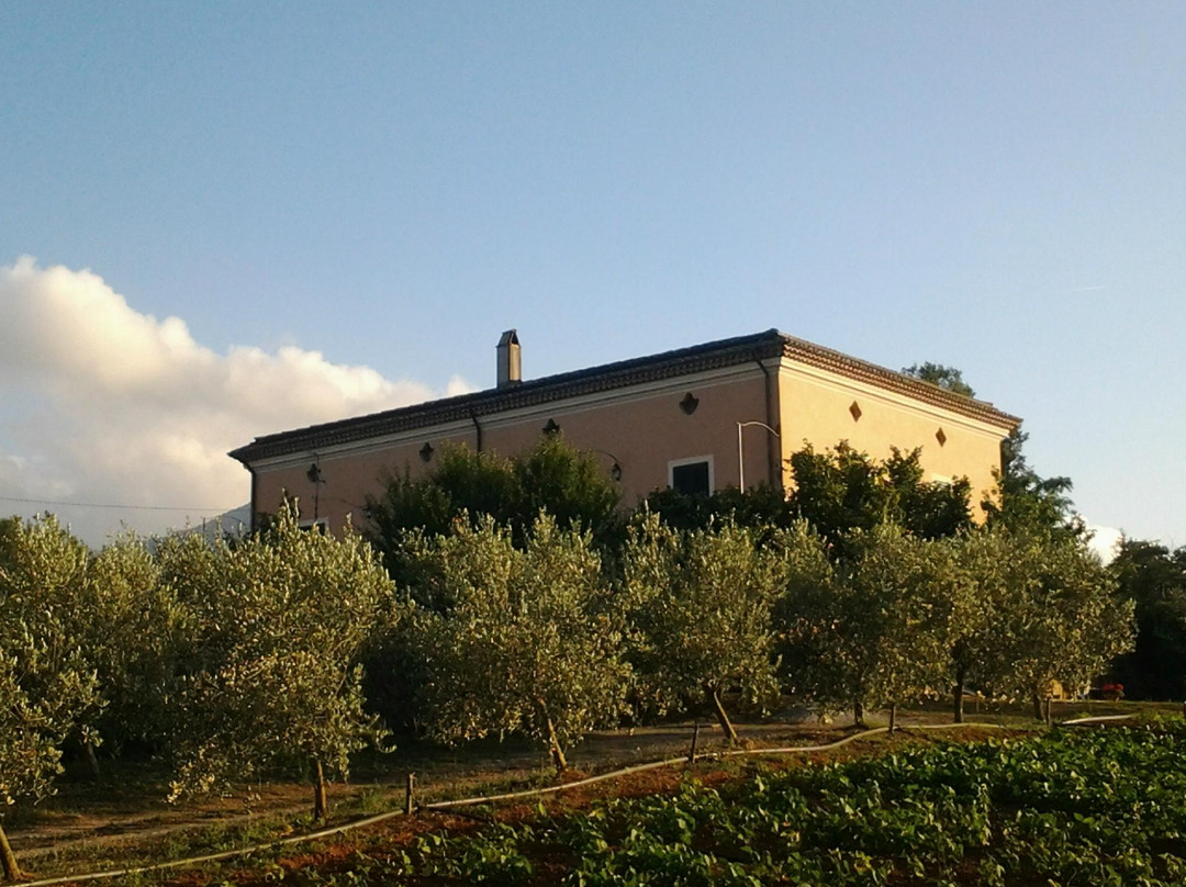 Happy Pollino