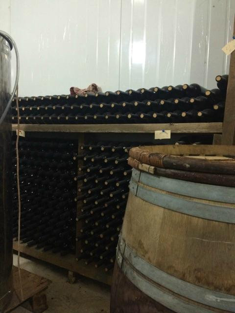 Adulam Winery & Vinyards景点图片