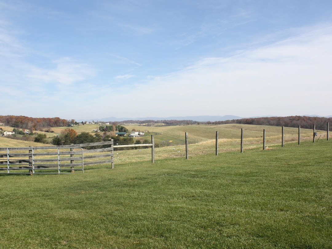 Star B Stables-斯汤顿必去景点