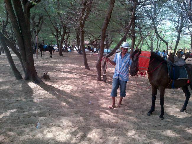 Lombang Beach-Madura Island必去景点