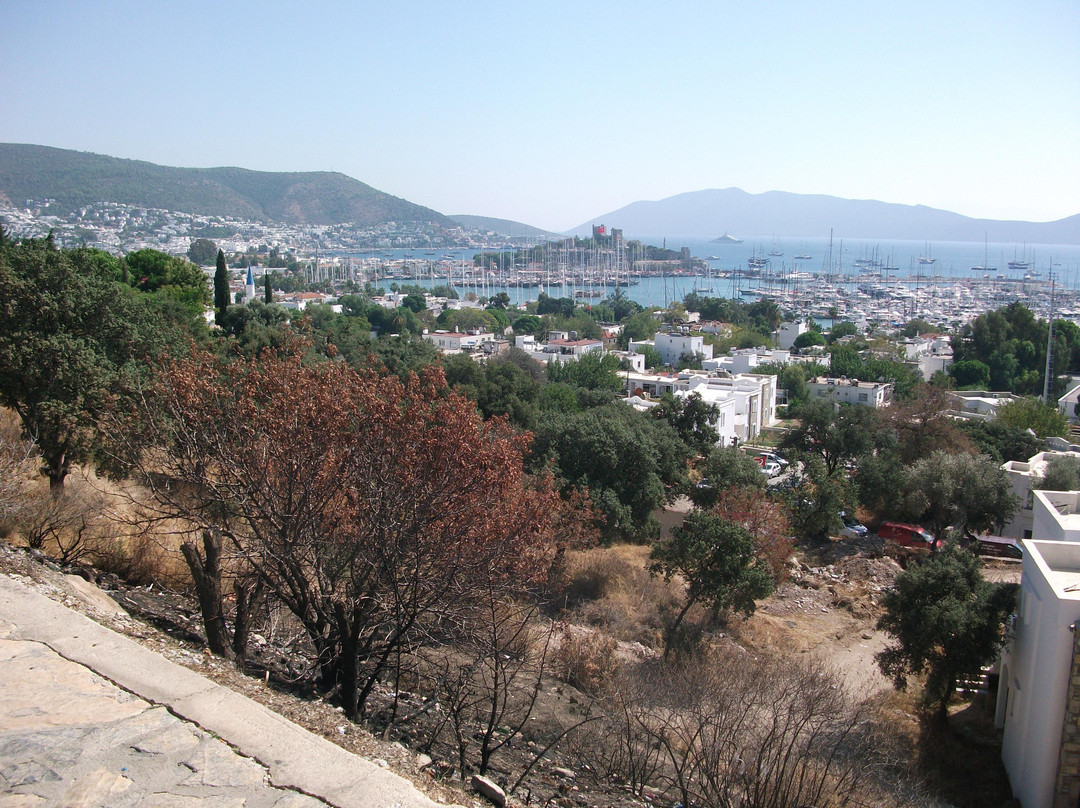 Bodrum Amphitheater景点图片