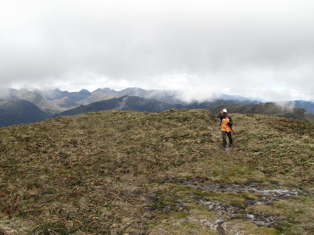 Podocarpus National Park-Zamora必去景点