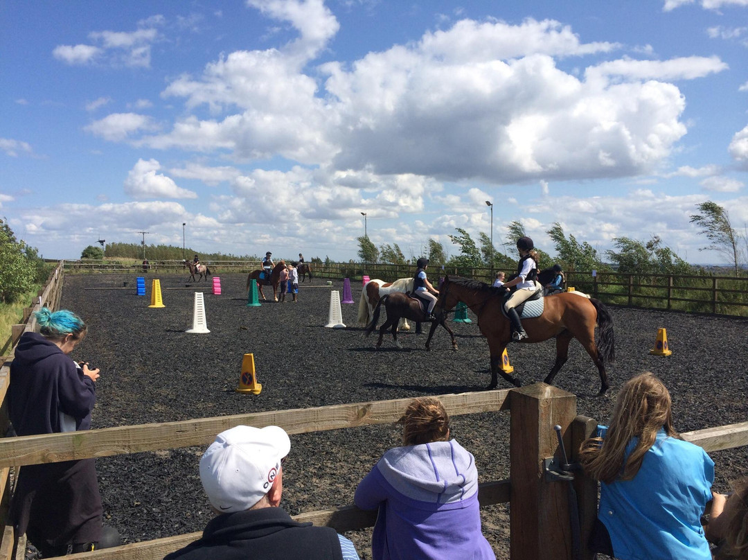 Moorwood Equine-谢菲尔德必去景点