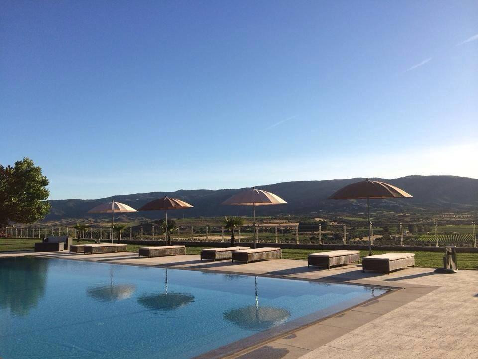 Vilarinho da Castanheira酒店住宿-Quinta Da Terrincha