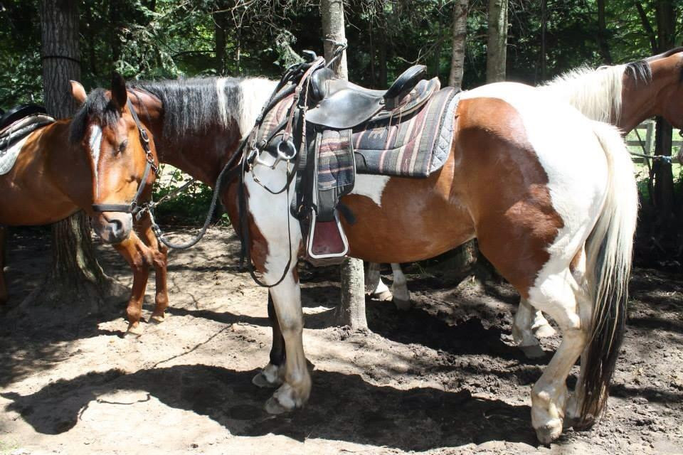 South Algonquin Trails-Harcourt必去景点