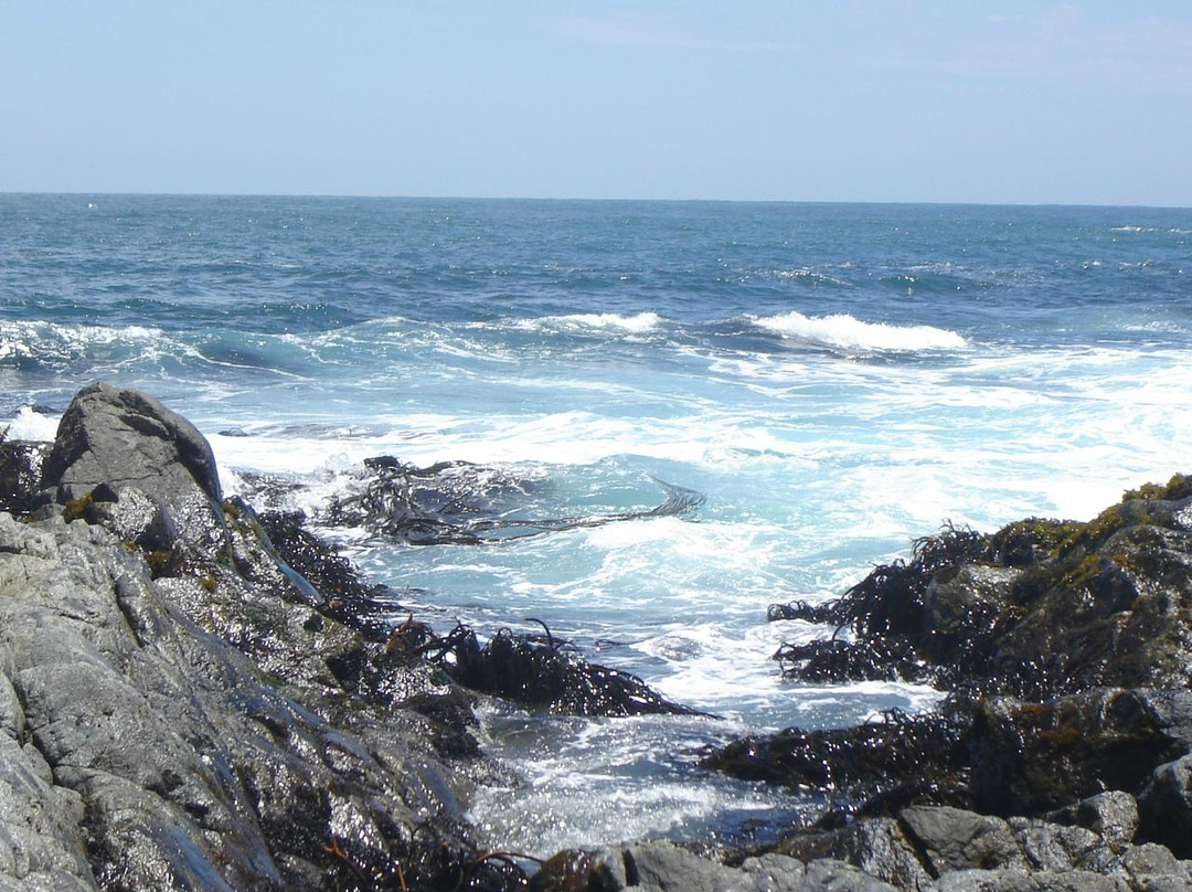 Isla Negra旅游攻略图片