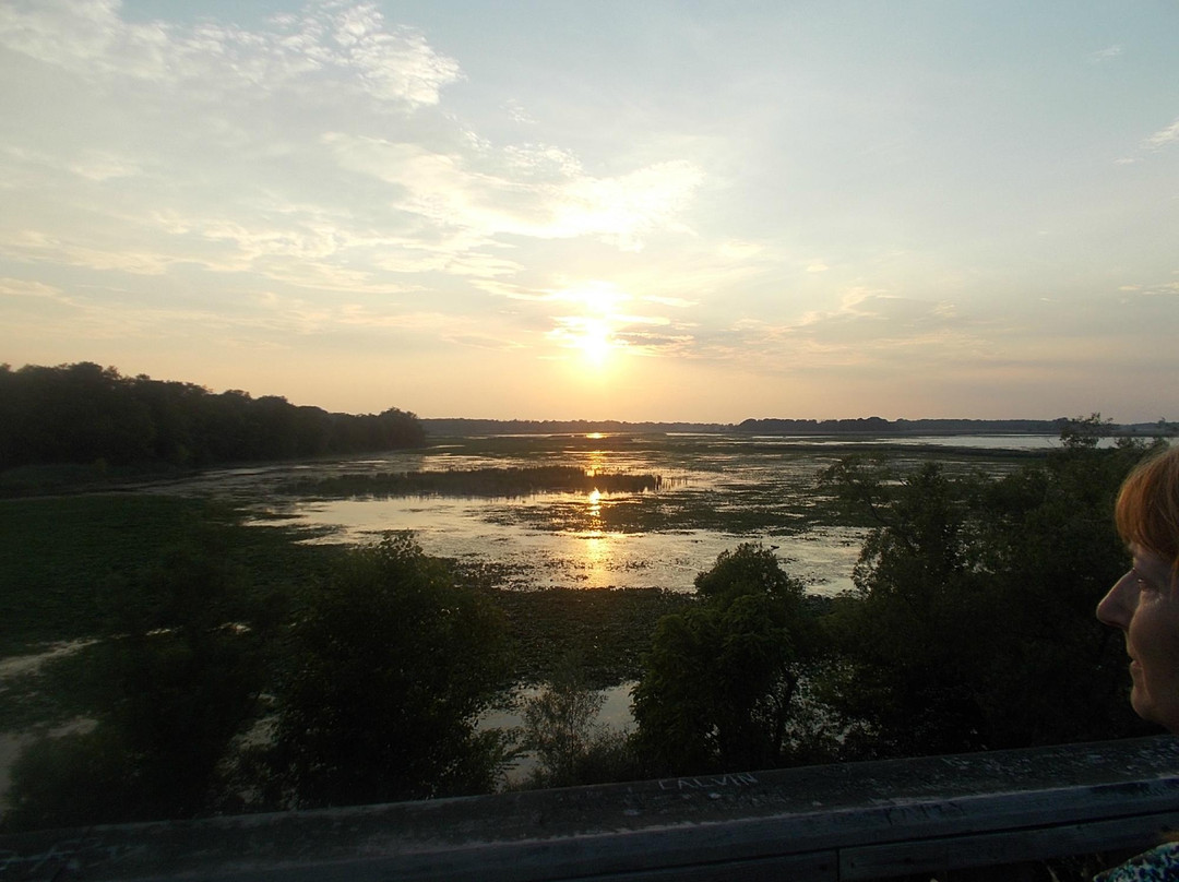 Holiday Beach Conservation Area-阿默斯特堡必去景点