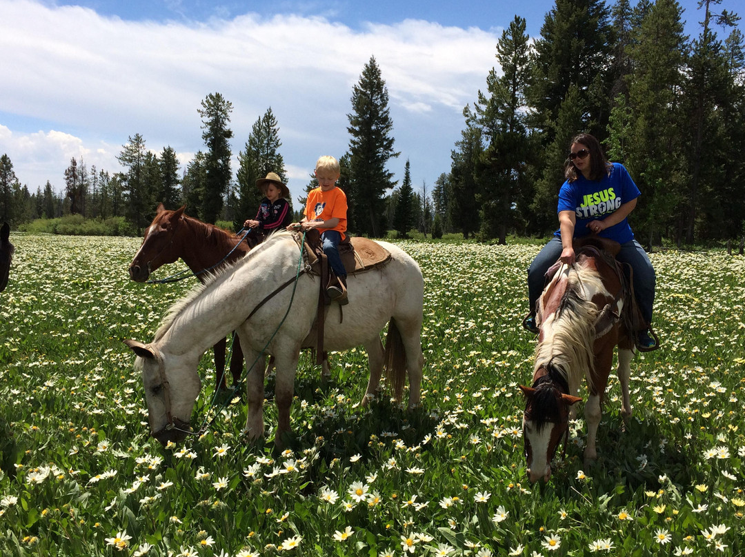 Yellowstone Horses - Eagle Ridge Ranch-艾兰帕克必去景点