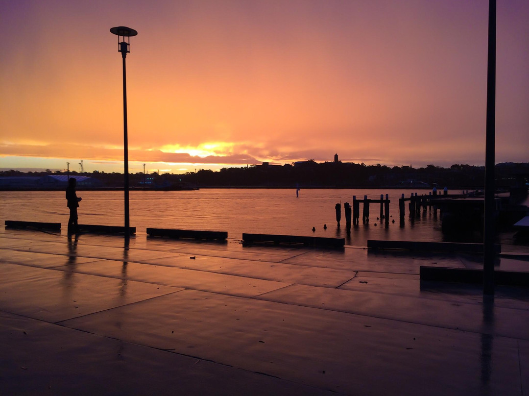 Pirrama Park-悉尼必去景点