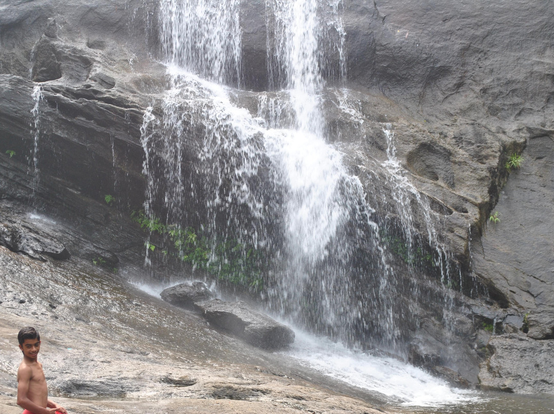 Thusharagiri Waterfalls景点图片