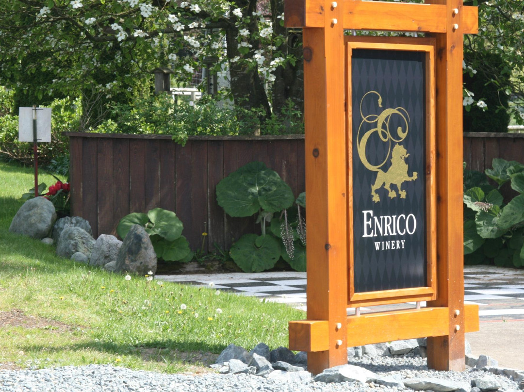 Enrico Winery景点图片