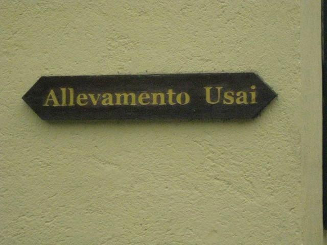 Azienda Agricola Usai Pasquale景点图片