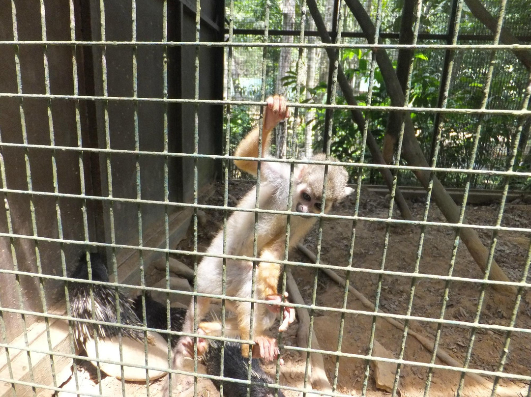 洛高宜野生动物园-兵南邦必去景点