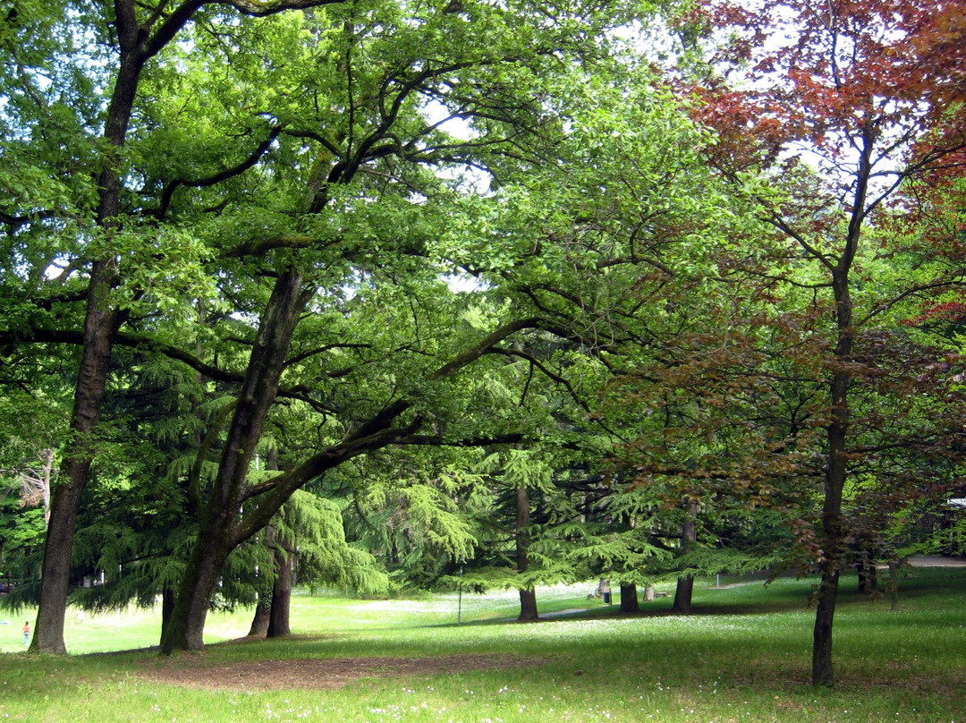 Parco Avventura Salice Terme景点图片