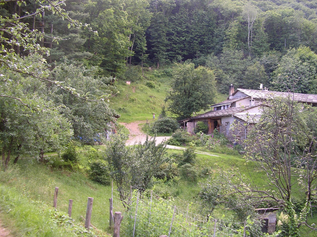 Lusernetta餐馆和美食-Bacomela Centro Agrituristico