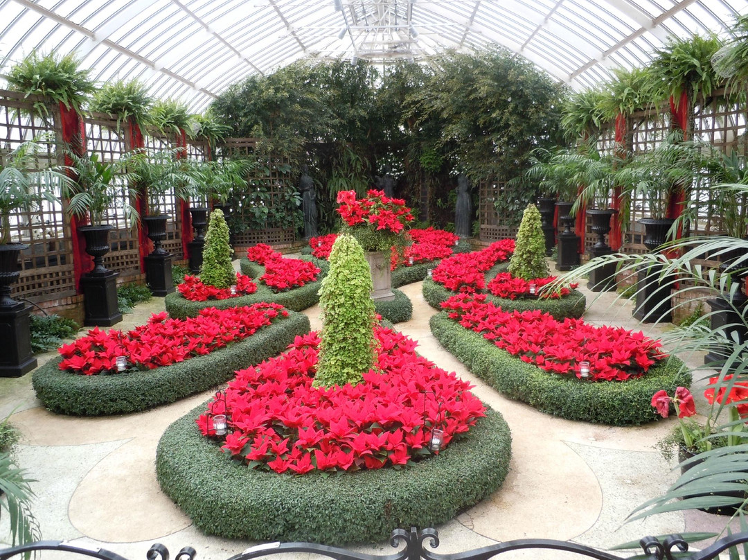 菲普斯温室植物园-匹兹堡必去景点