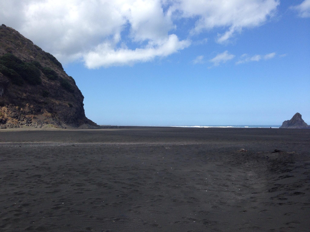 Auckland Wine Trail Tours-奥克兰中心地区必去景点