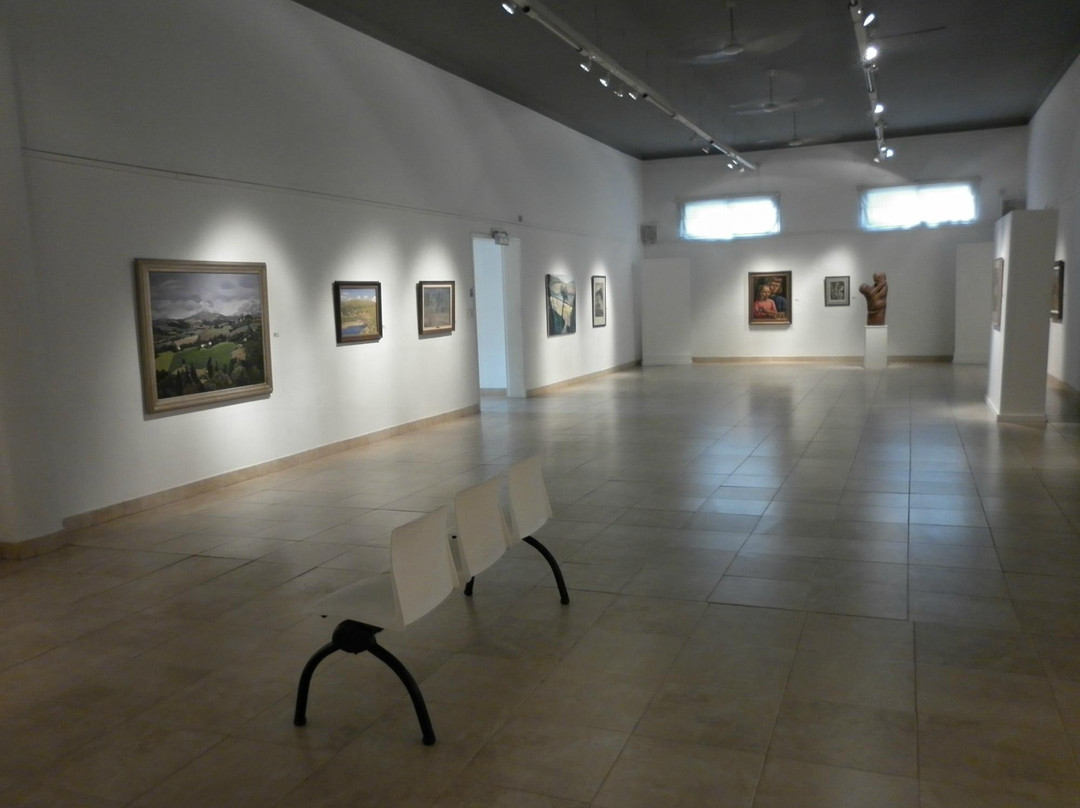 Museo Municipal de Bellas Artes Tandil景点图片