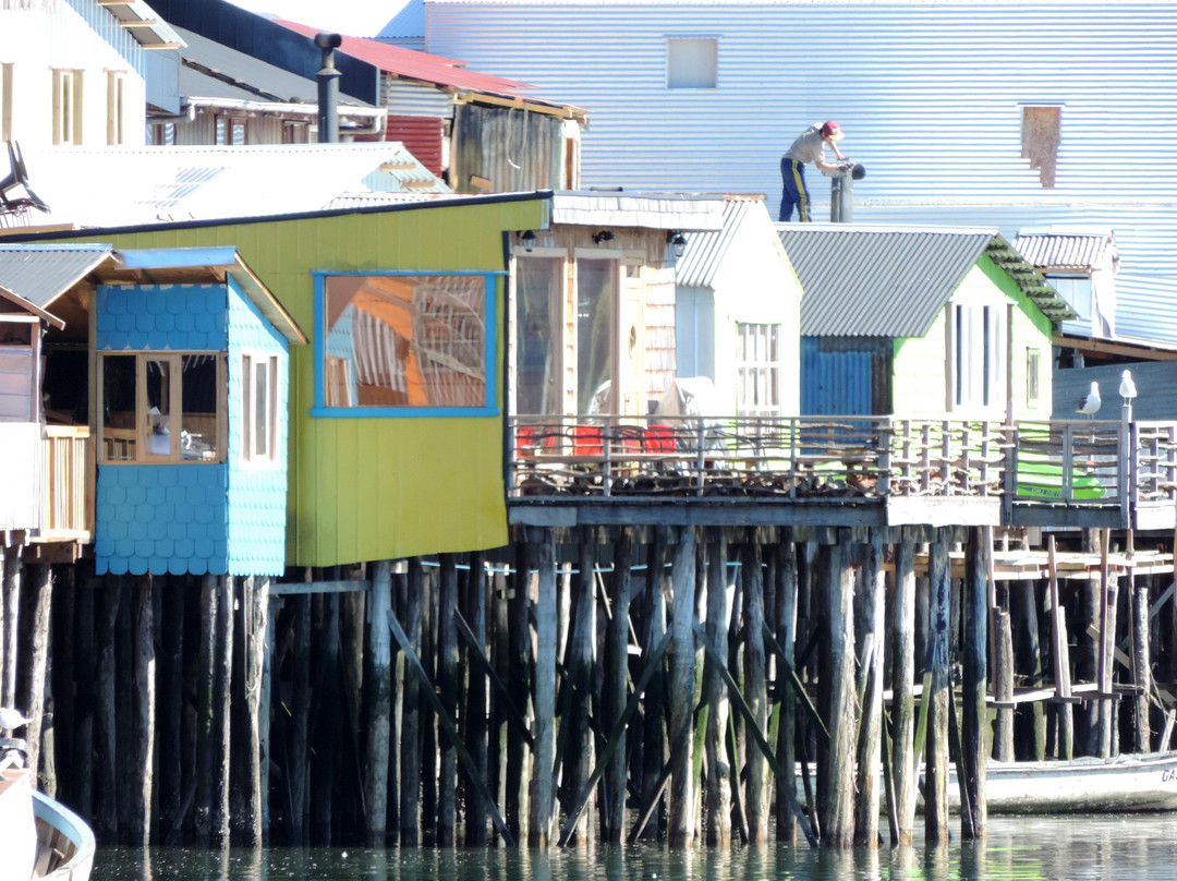 Costanera-Castro必去景点