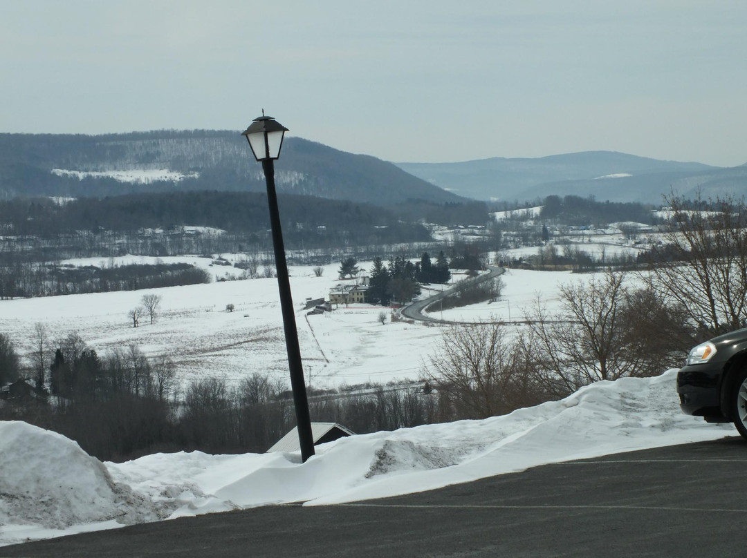 Howe Caverns Motel主图