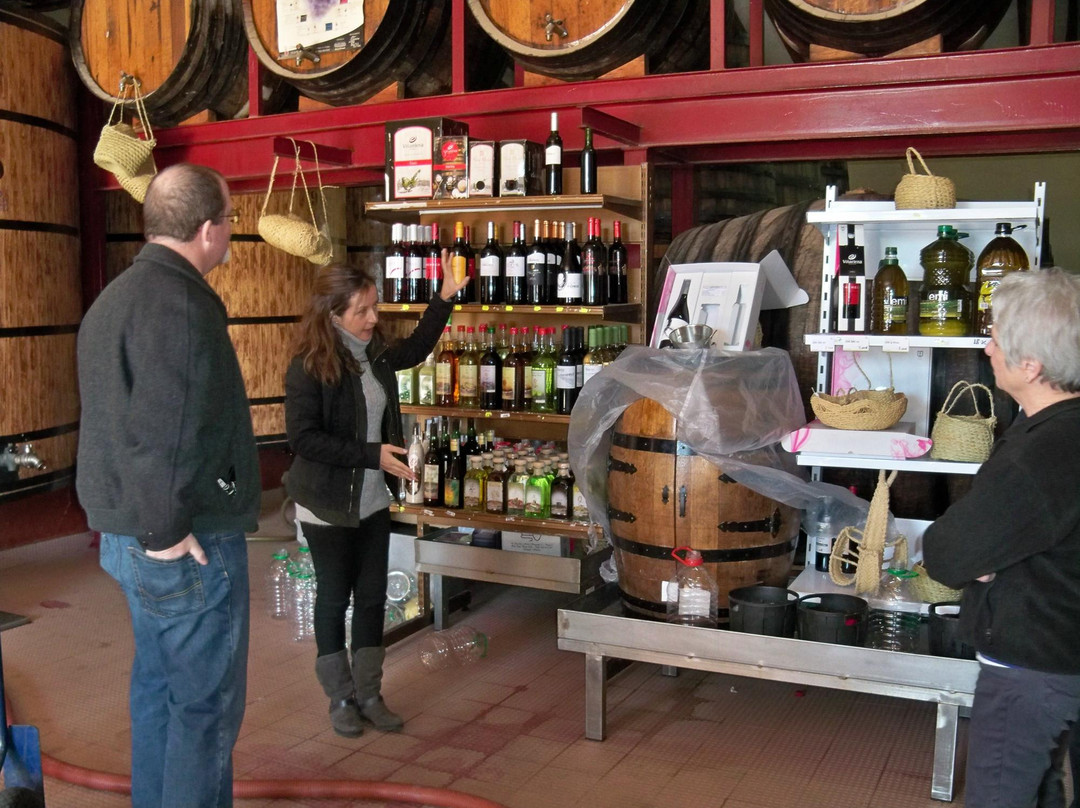 Vina Elena-Jumilla必去景点