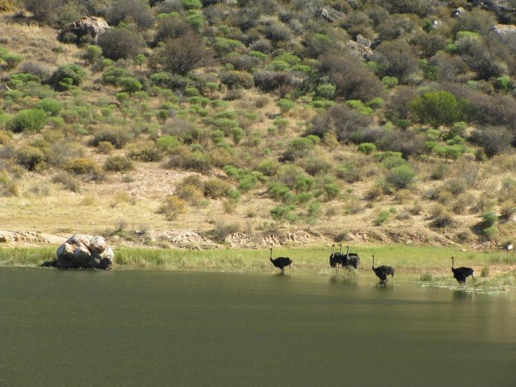 Cederberg Wilderness Area-克兰威廉必去景点