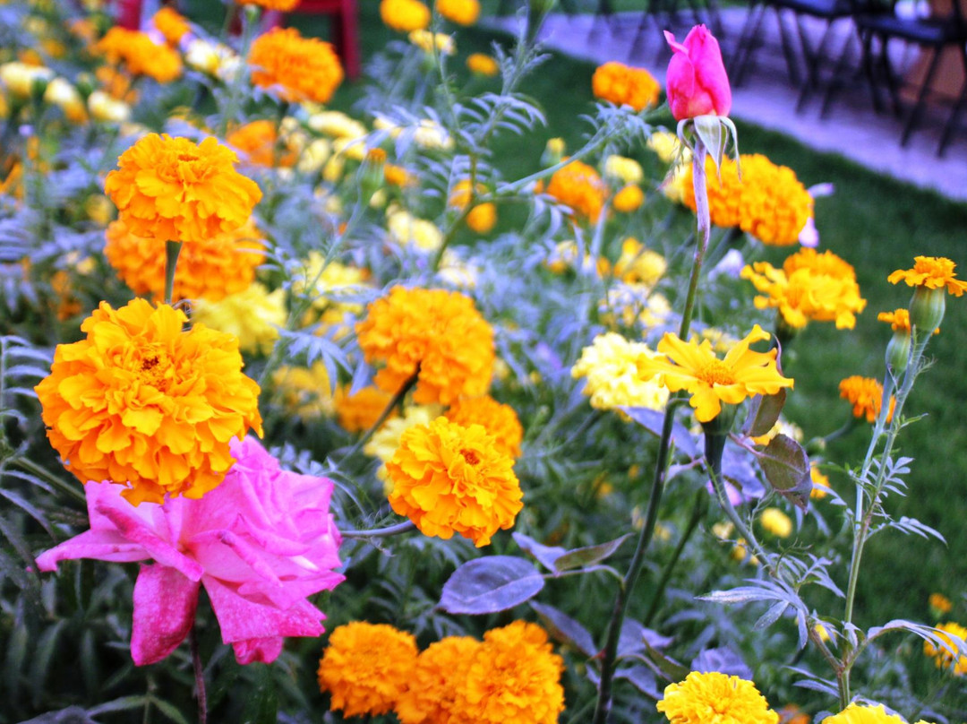 Norban Qala Guest House主图