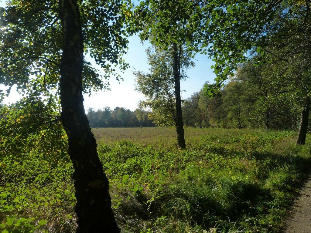 Lyngby Aamose景点图片