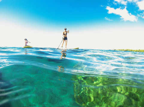 Maui SUP Boards-拉海纳必去景点