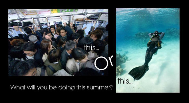 Kurbaga Adam Dalis Merkezi-伊斯坦布尔必去景点