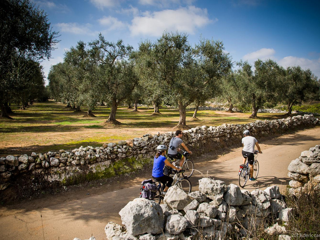 Salento Bici Tour-莱切必去景点
