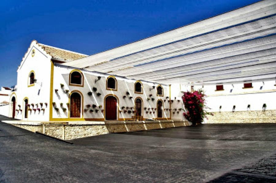 Núñez de Prado- Fabrica de Aceite de Oliva Ecológico-Baena必去景点