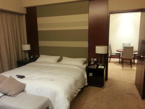 上海南桥绿地铂骊酒店主图