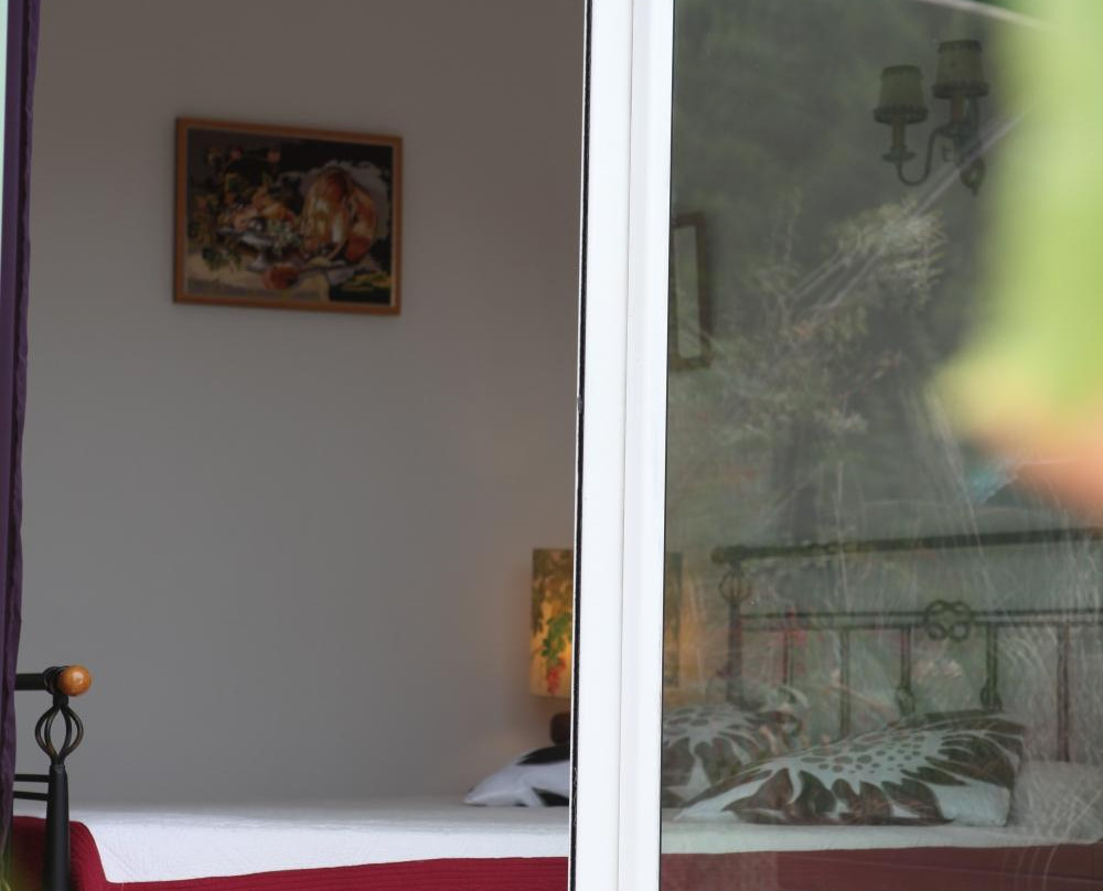 L'Olivette des Alberes主图