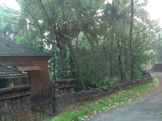 Belle Vista Vaddo by Envirogreen主图