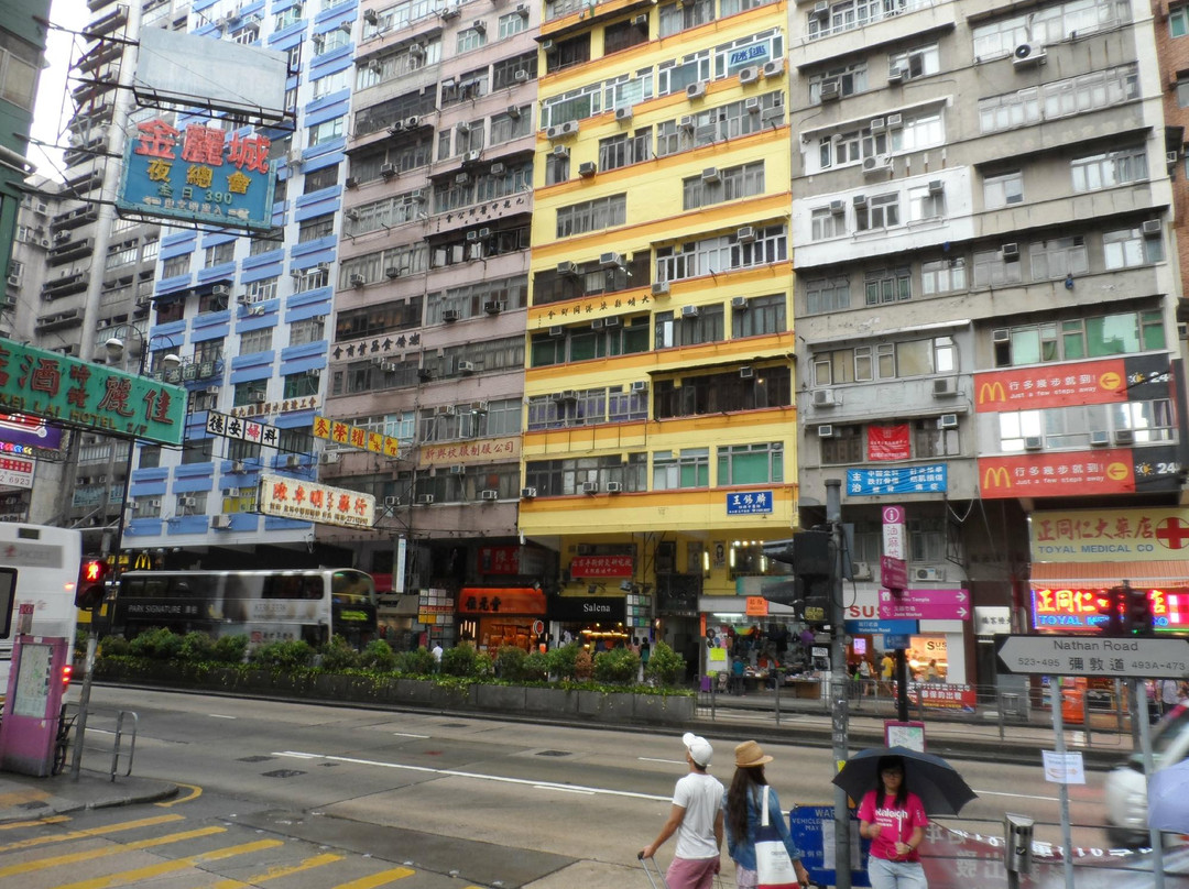 香港Casa主图