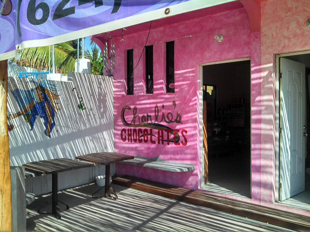 Charlie's Chocolates-Los Barriles必去景点