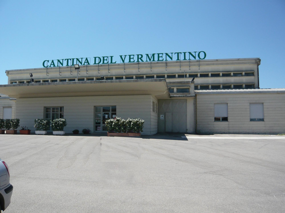 Monti旅游景点-Cantina sociale del vermentino di monti