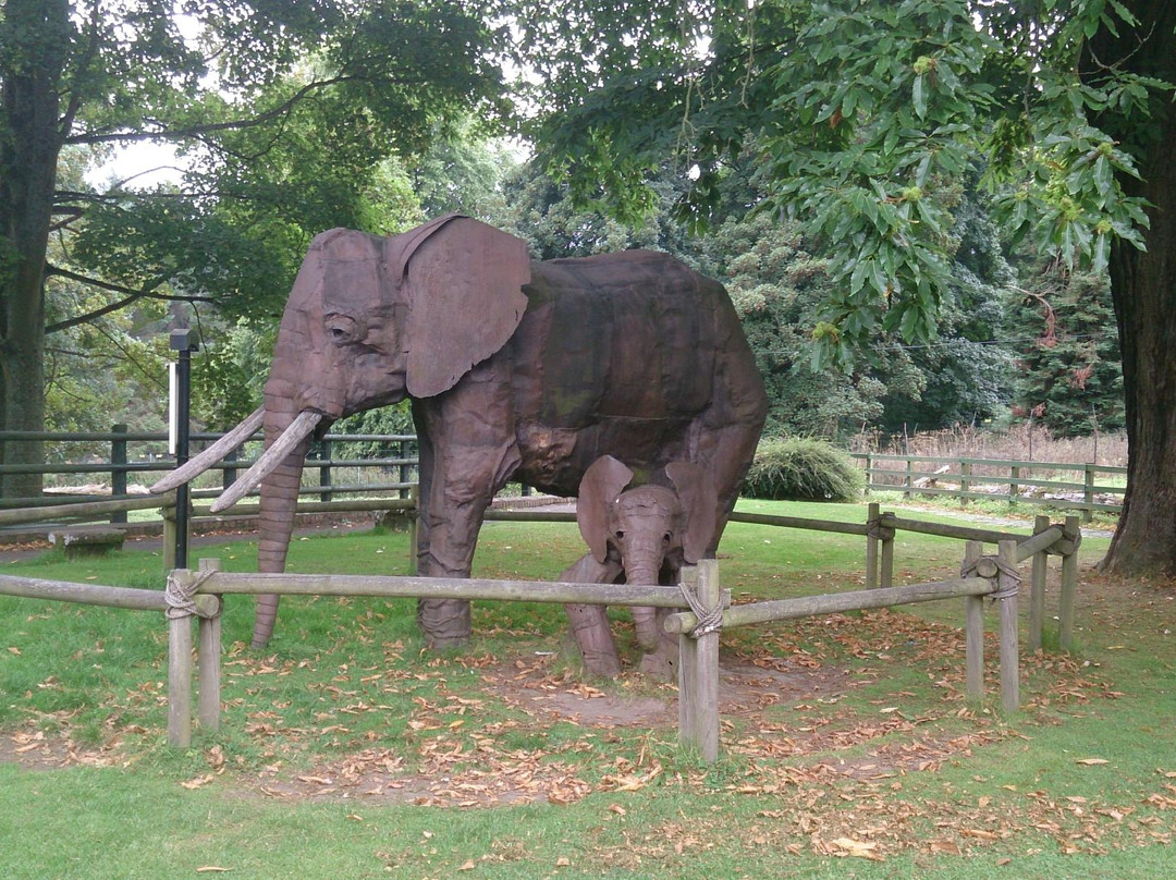 Camperdown Wildlife Centre-敦提必去景点