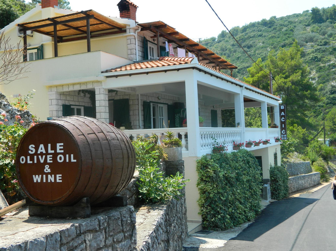 Agroturism Bacic