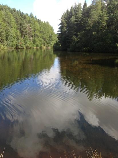 Millbuies Trout Fishery, Moray Fly Fishers-埃尔金必去景点