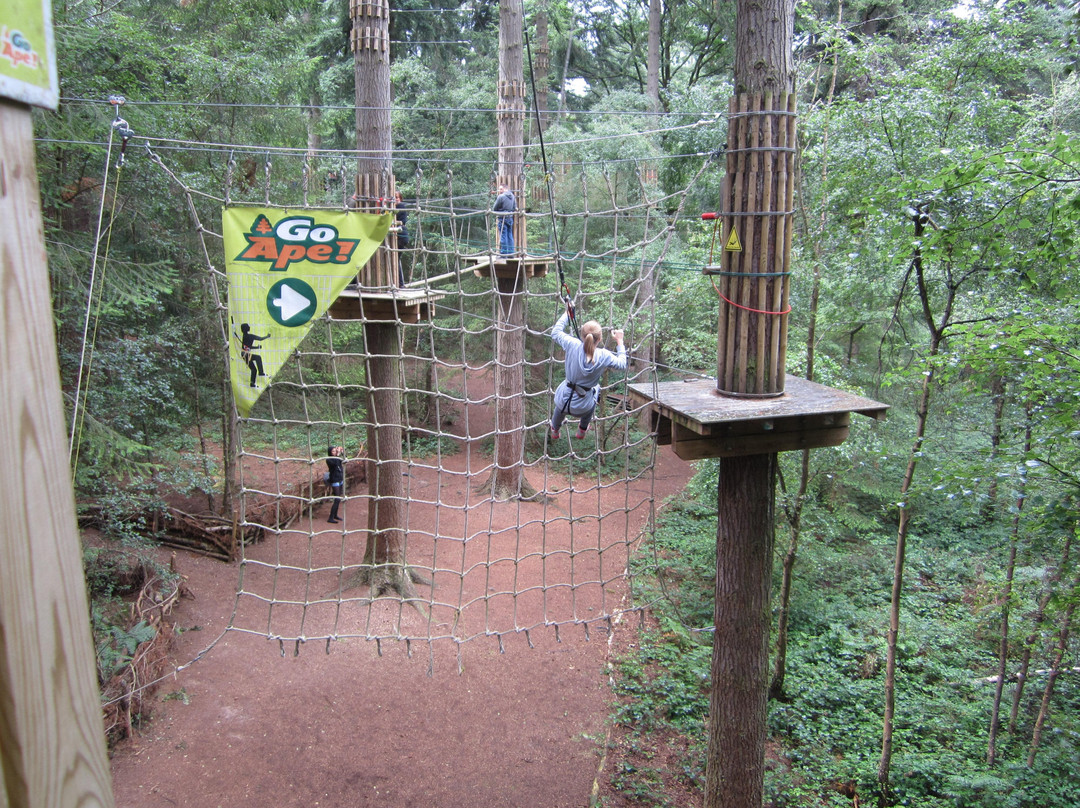 Go Ape Wyre景点图片