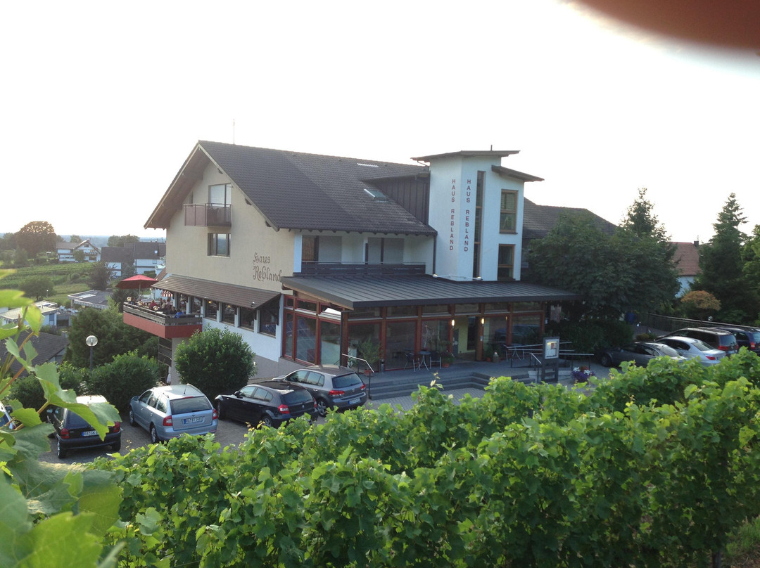 Neuweier旅游攻略图片