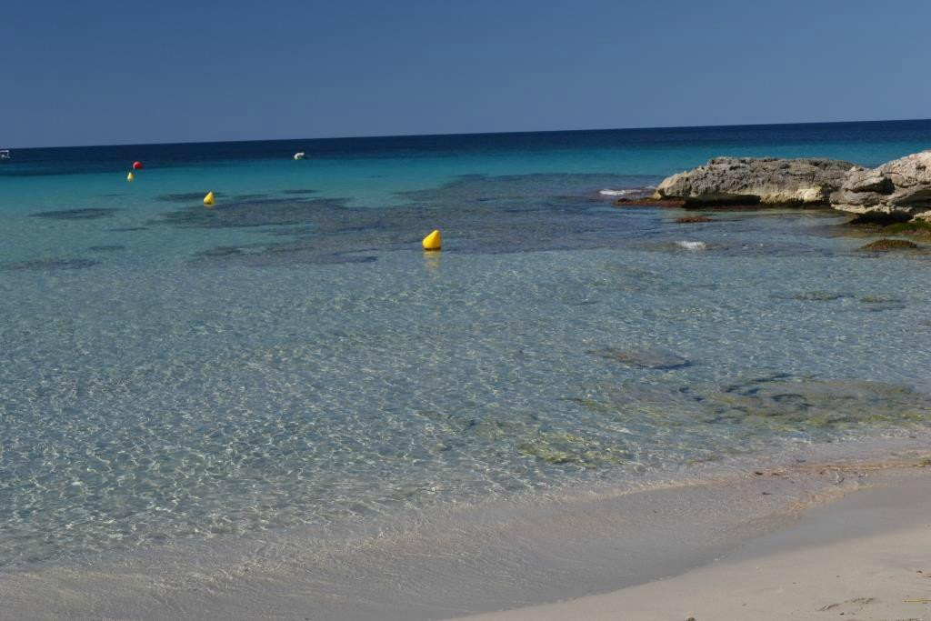 Platja de Sant Tomàs-米诺卡必去景点