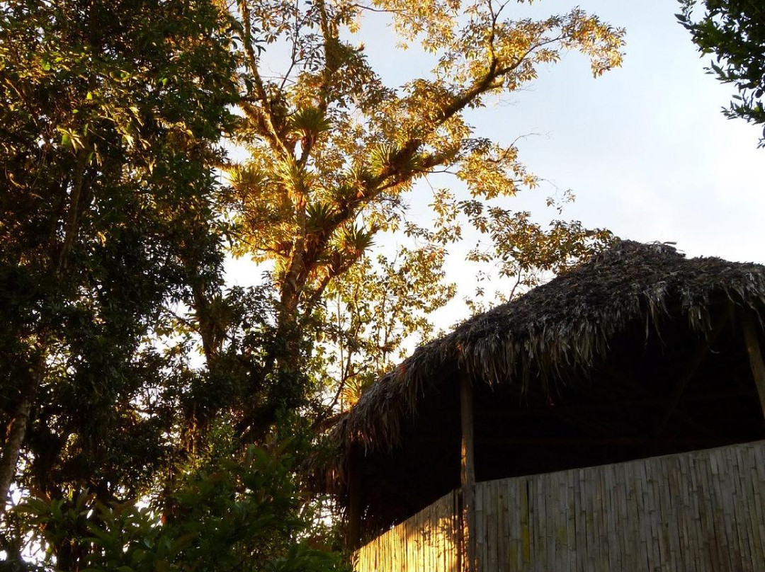 Intag Cloud Forest Reserve Lodge